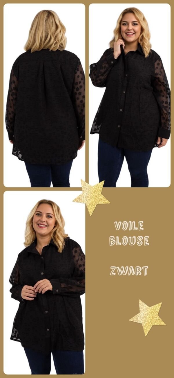 Voile Blouse